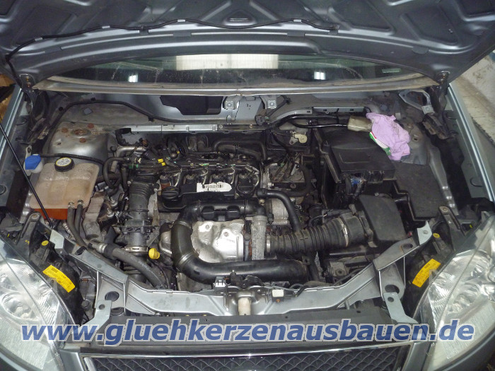 Abgerissene Glhkerze ausbauen aus Ford
                      C-Max mit 1.6 TDCi Motor