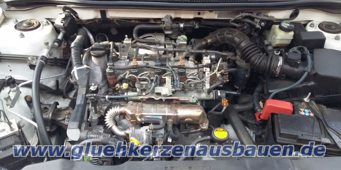 Abgerissene Glhkerze ausbauen aus
                          Toyota mit 1.4 D-4D Motor