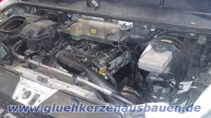 Abgerissene Glhkerze ausbauen aus Iveco
                      Daily 3.0