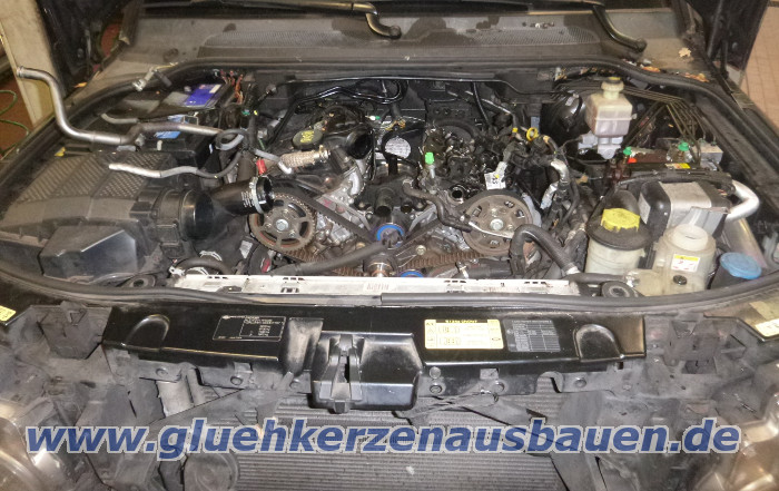 Abgerissene Glhkerze ausbauen aus Land
                        Rover Discovery 3 TVD6 2,7