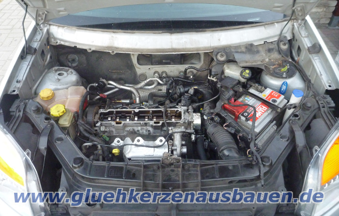 Abgerissene Glhkerze ausbauen aus Ford
                      Fusion mit 1.4 TDCi Motor