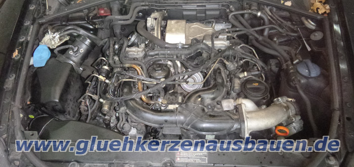 Abgerissene Glhkerze ausbauen aus VW
                          Phaeton mit 3.0 V6 Motor