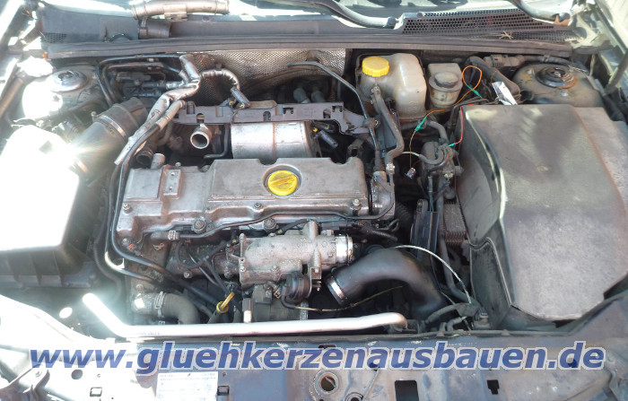 Abgerissene Glhkerze ausbauen aus
                          Opel mit 2.2 8V Motor