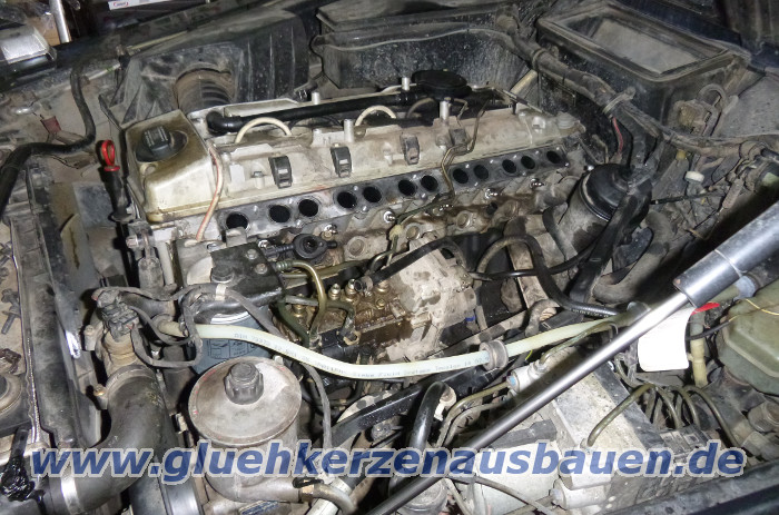 Abgerissene
                          Glhkerzen ausbauen aus Mercedes G Klasse 463
                          mit 3.0 Motor