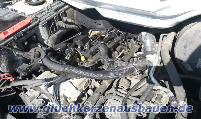 Abgerissene
                          Glhkerzen ausbauen aus Mercedes Vito / Viano
                          W639 mit 2.2Motor und Hinterradantrieb